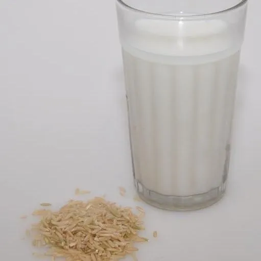 thumbnail for publication: Plant-Based Milks: Rice